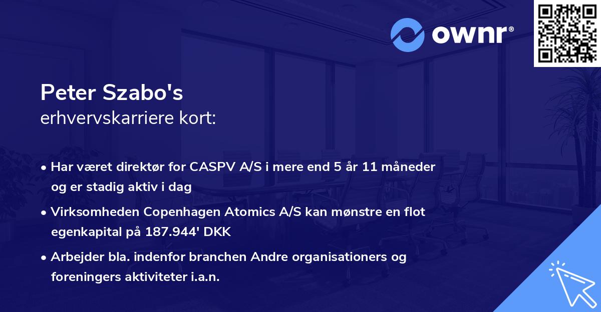 Peter Szabo's erhvervskarriere kort