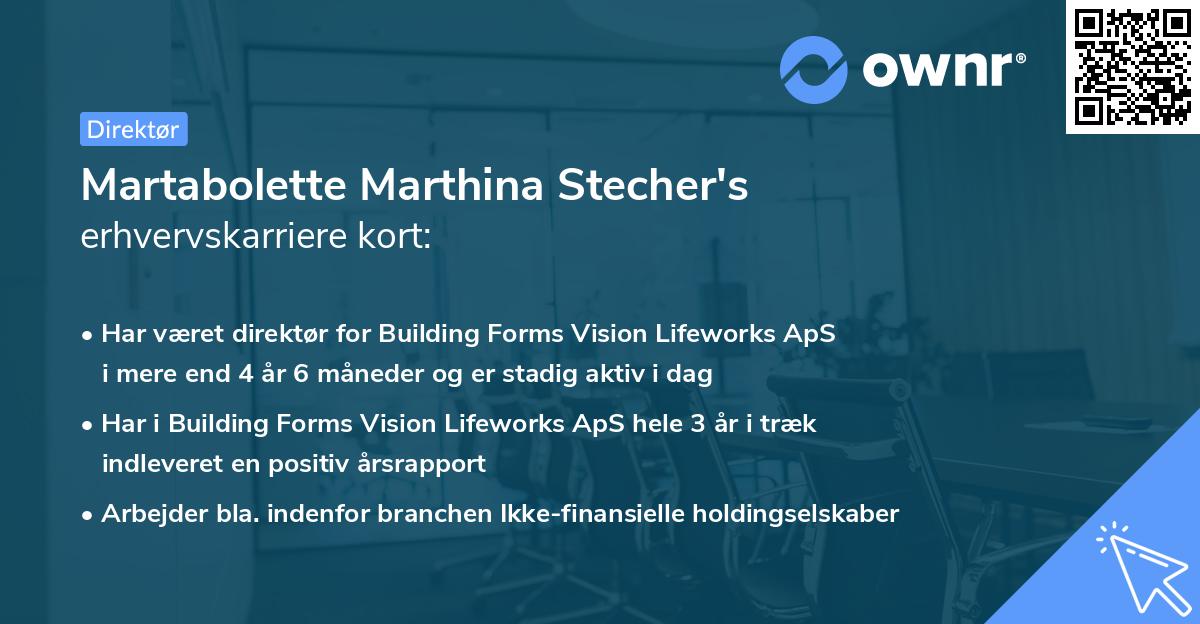Martabolette Marthina Stecher's erhvervskarriere kort