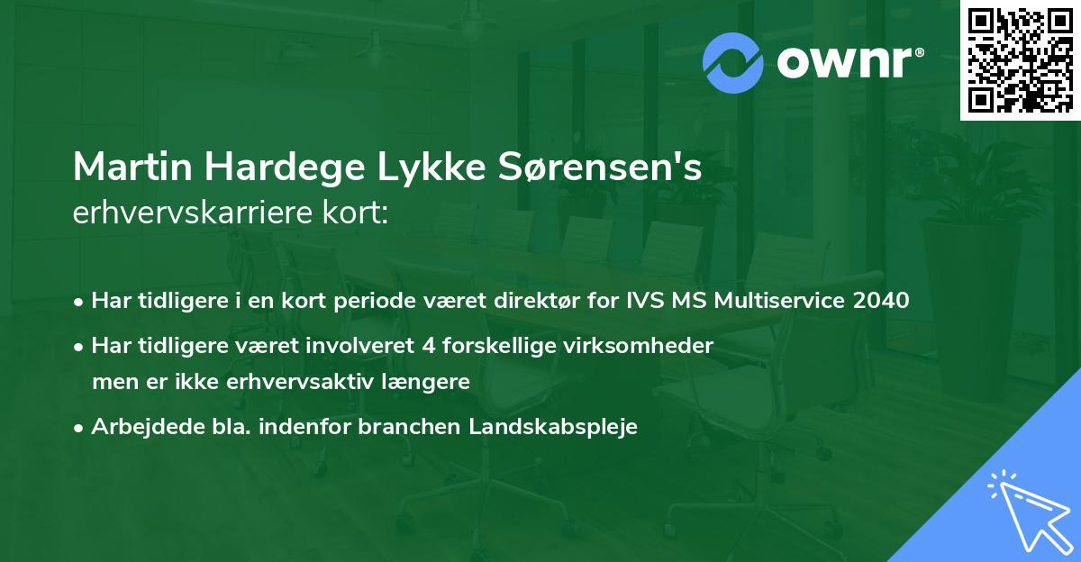 Martin Hardege Lykke Sørensen's erhvervskarriere kort