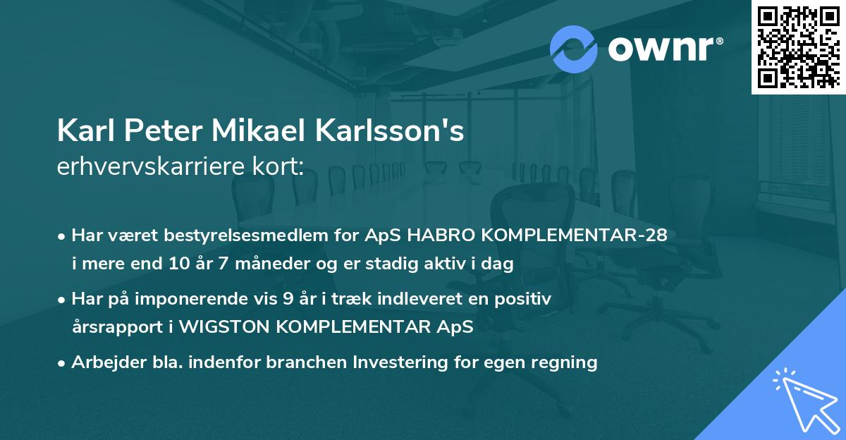 Karl Peter Mikael Karlsson's erhvervskarriere kort