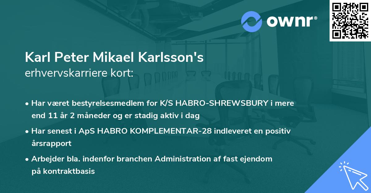 Karl Peter Mikael Karlsson's erhvervskarriere kort