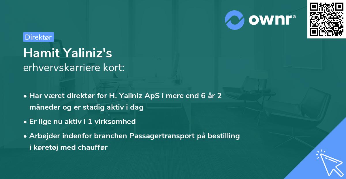 Hamit Yaliniz's erhvervskarriere kort