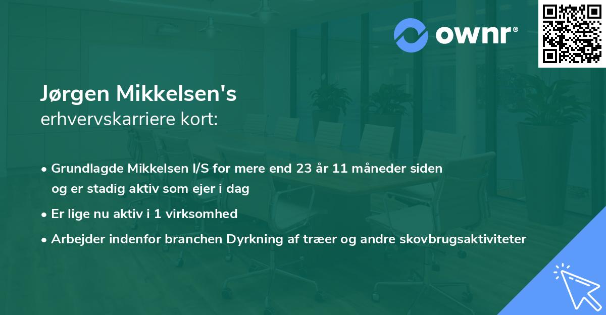 Jørgen Mikkelsen's erhvervskarriere kort