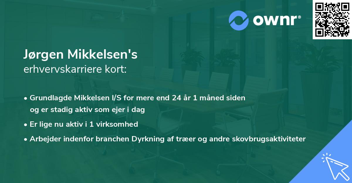Jørgen Mikkelsen's erhvervskarriere kort