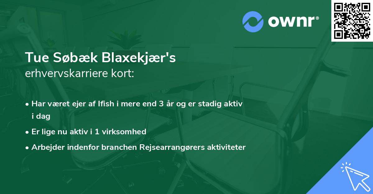 Tue Søbæk Blaxekjær's erhvervskarriere kort