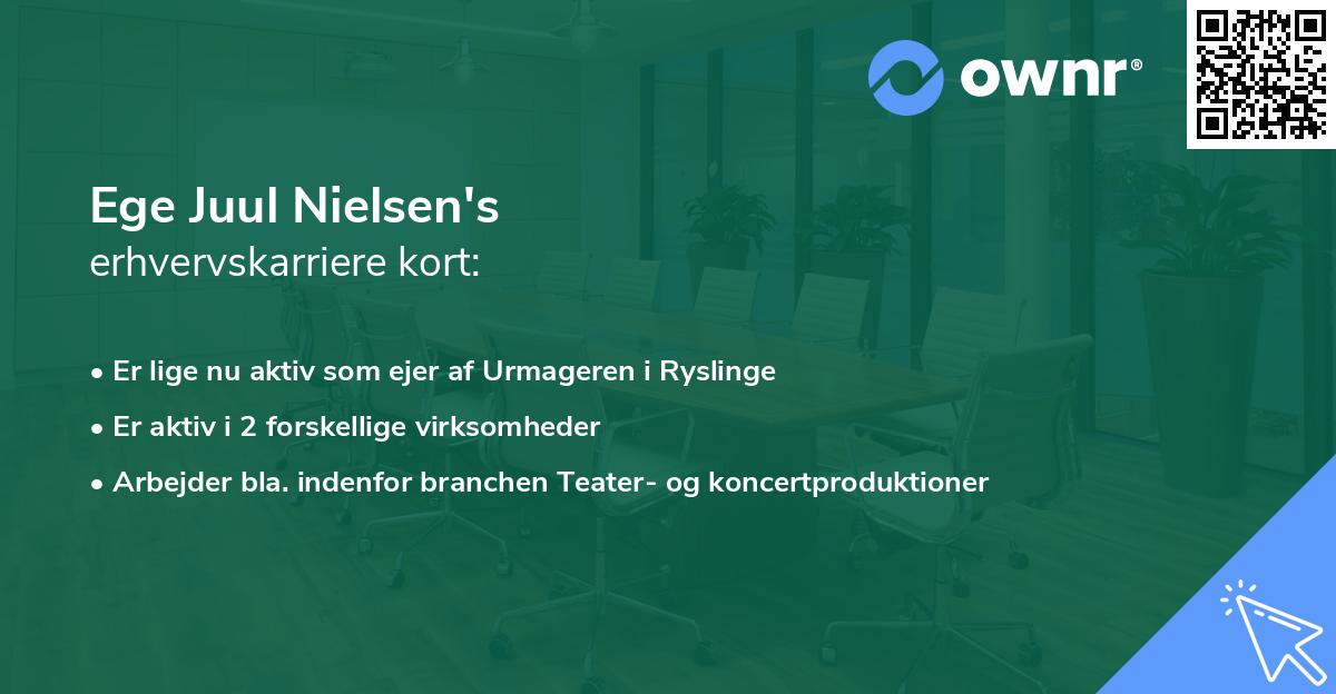 Ege Juul Nielsen's erhvervskarriere kort