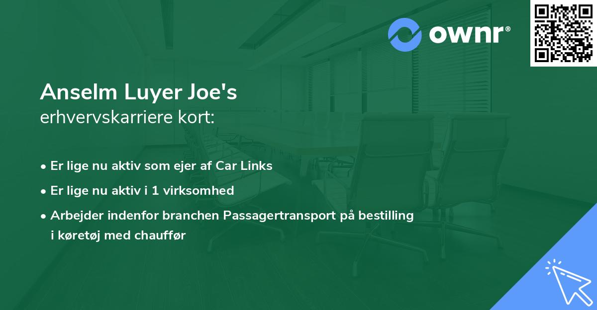 Anselm Luyer Joe's erhvervskarriere kort