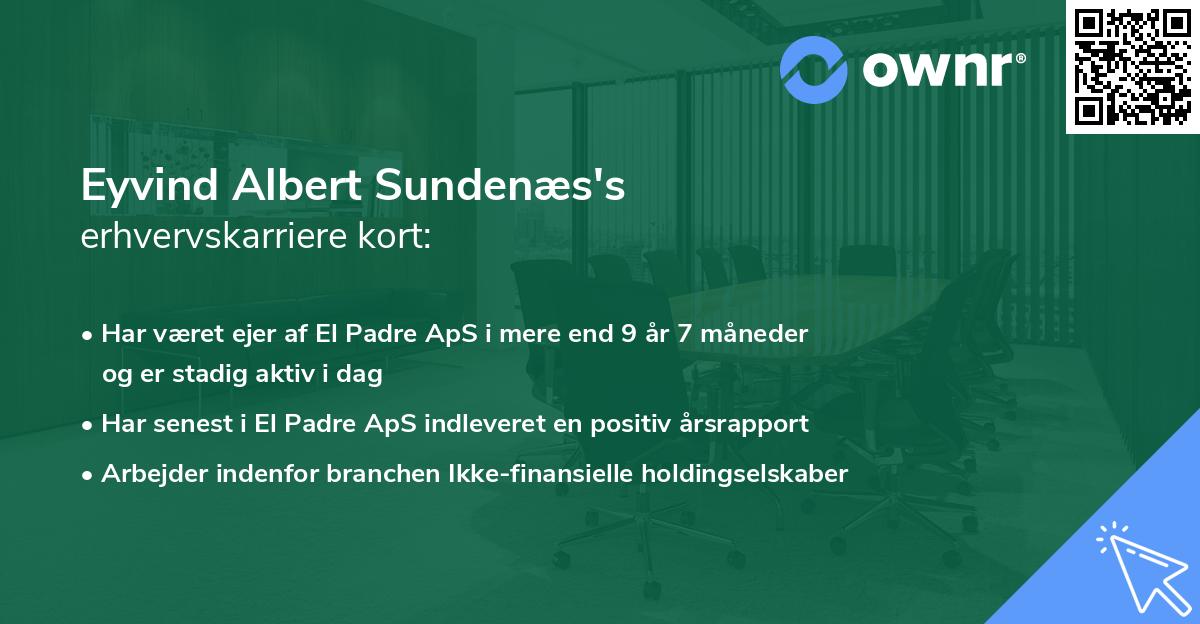 Eyvind Albert Sundenæs's erhvervskarriere kort