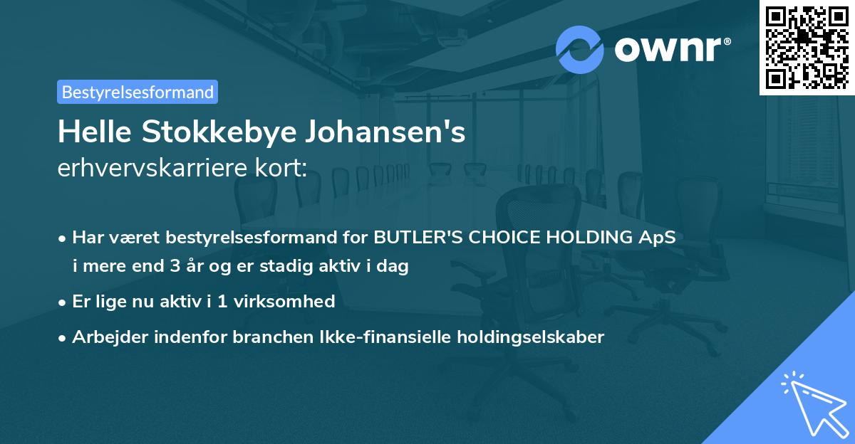 Helle Stokkebye Johansen's erhvervskarriere kort