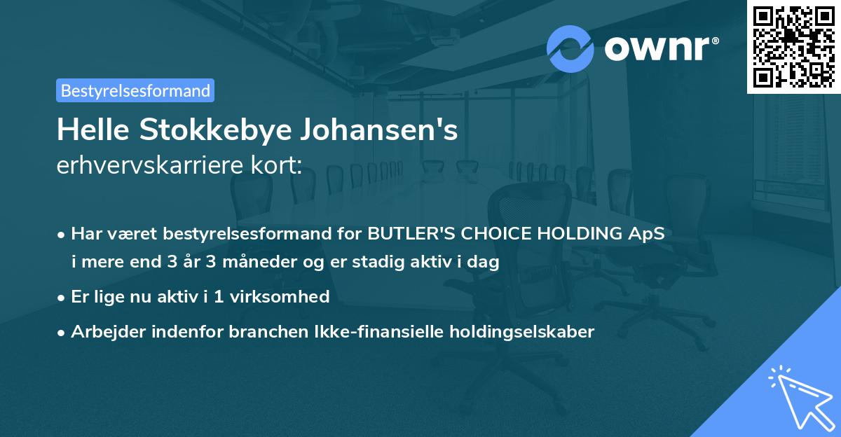 Helle Stokkebye Johansen's erhvervskarriere kort