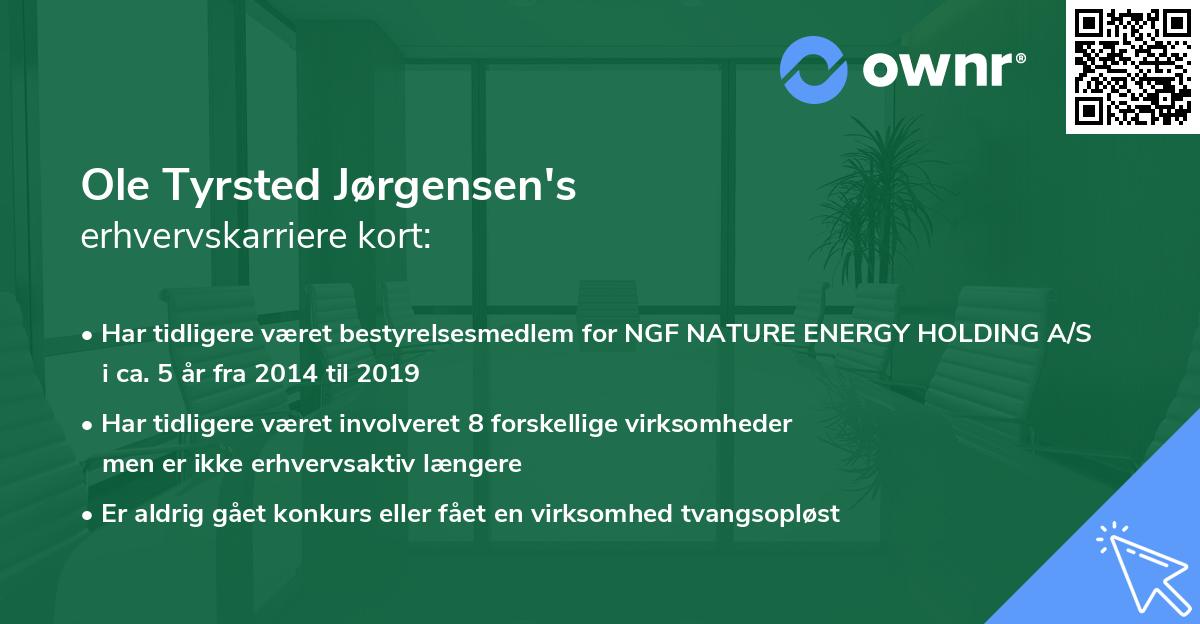 Ole Tyrsted Jørgensen's erhvervskarriere kort