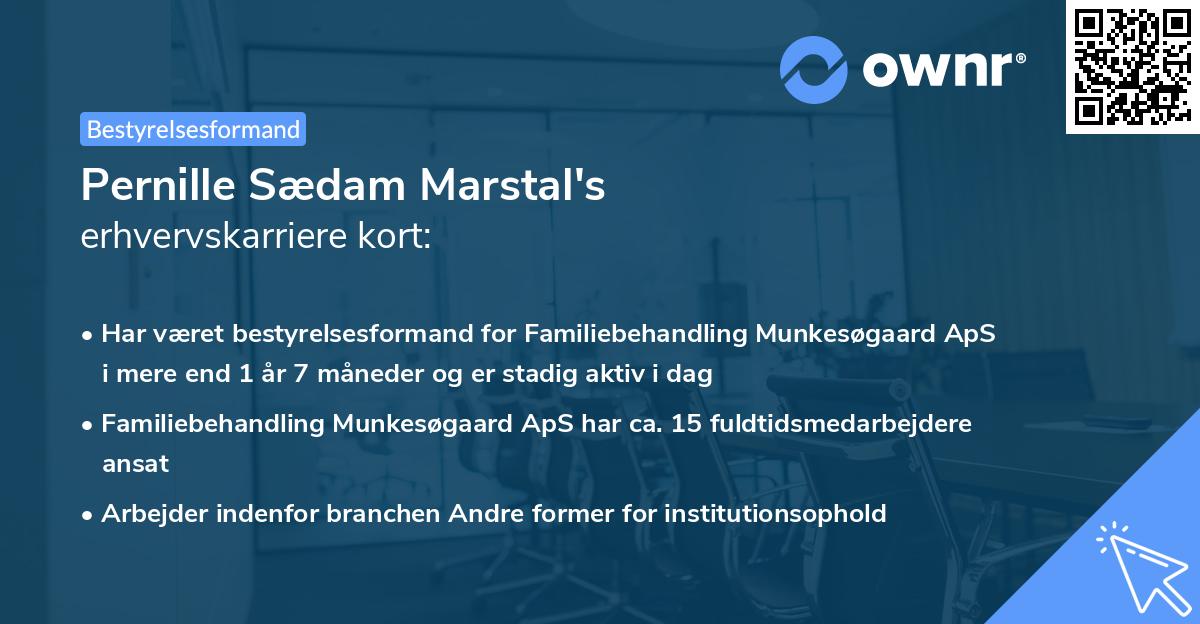 Pernille Sædam Marstal's erhvervskarriere kort