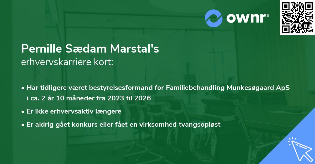 Pernille Sædam Marstal's erhvervskarriere kort
