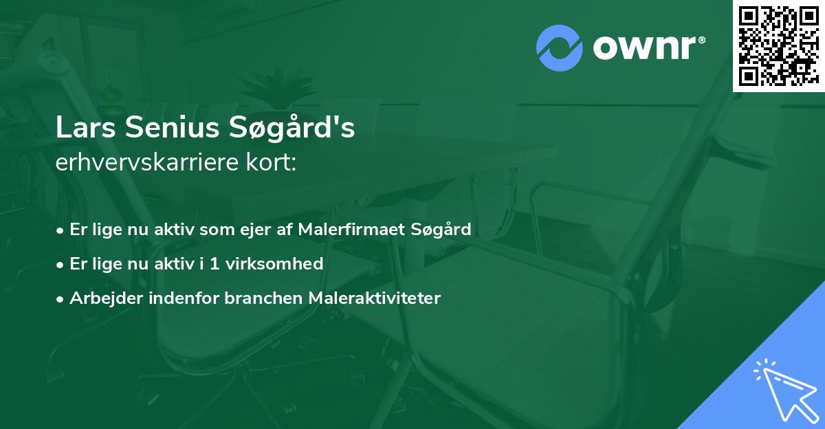 Lars Senius Søgård's erhvervskarriere kort