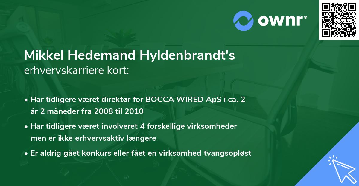 Mikkel Hedemand Hyldenbrandt's erhvervskarriere kort