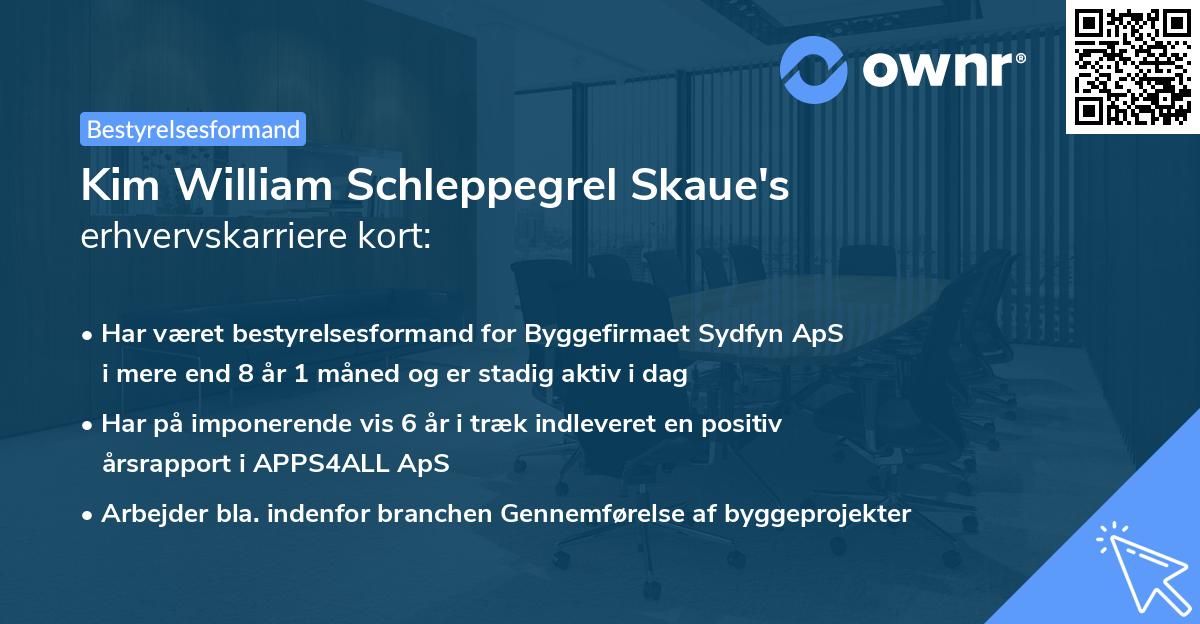 Kim William Schleppegrel Skaue's erhvervskarriere kort