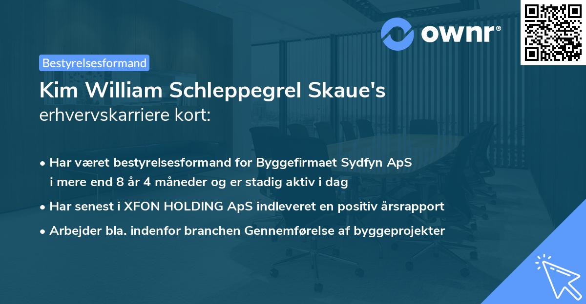 Kim William Schleppegrel Skaue's erhvervskarriere kort