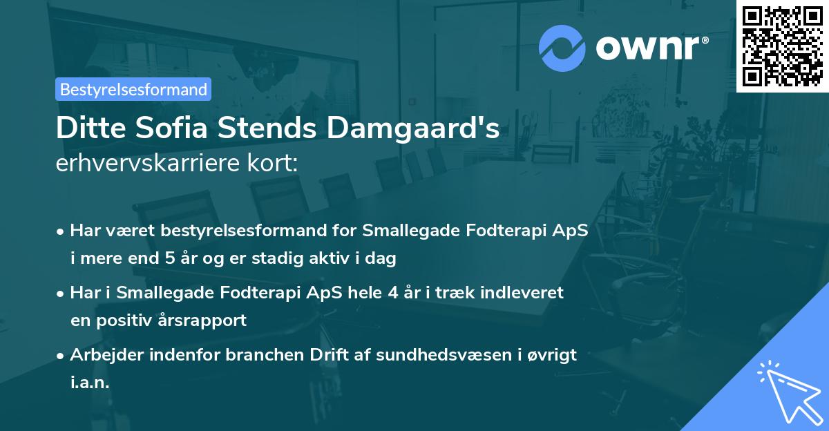 Ditte Sofia Stends Damgaard's erhvervskarriere kort