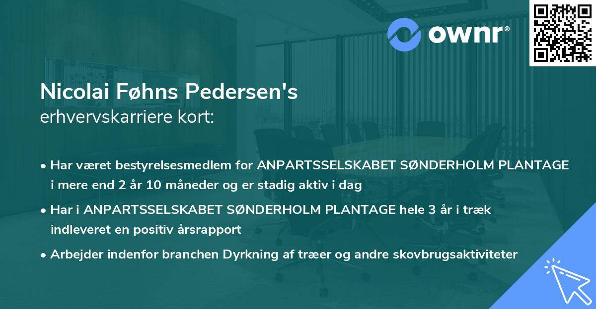 Nicolai Føhns Pedersen's erhvervskarriere kort