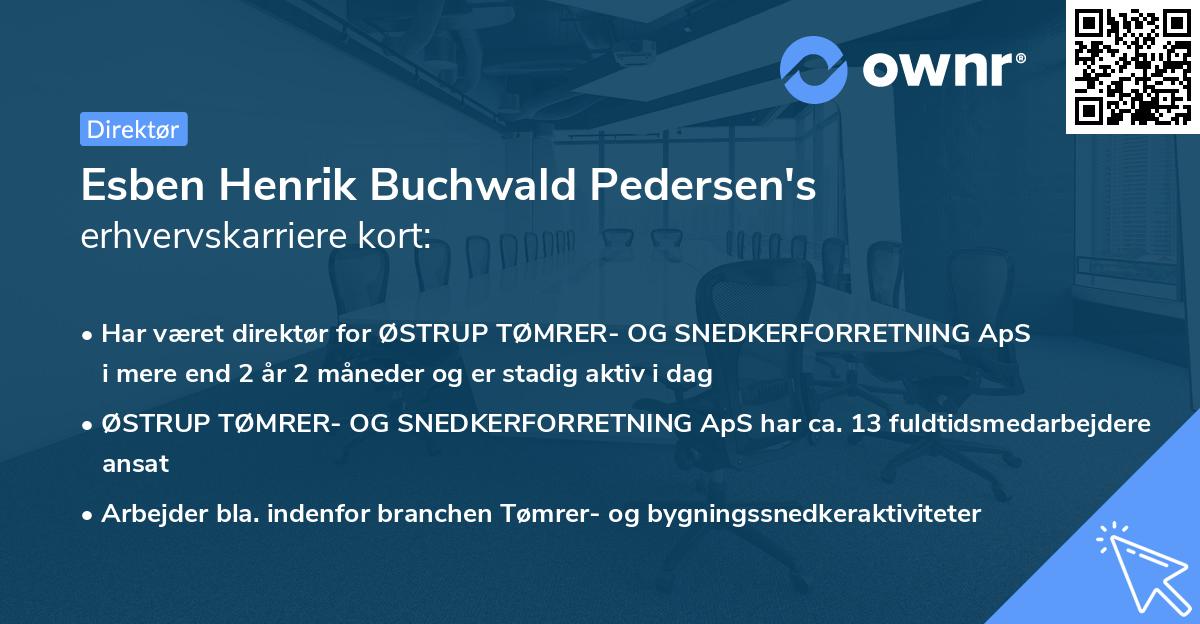 Esben Henrik Buchwald Pedersen's erhvervskarriere kort