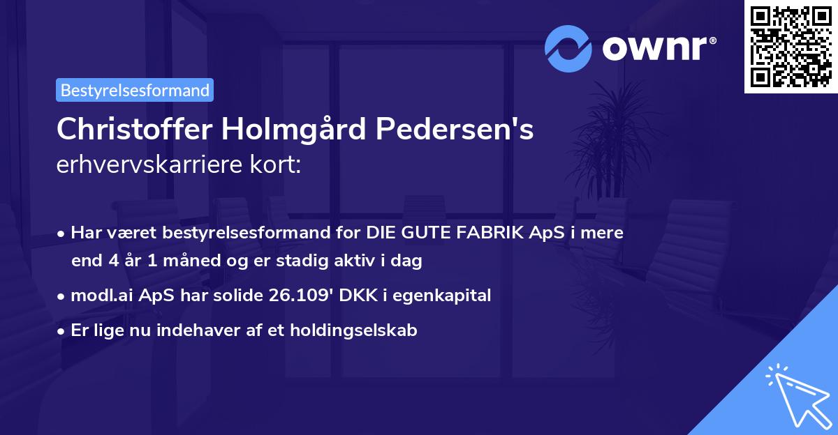 Christoffer Holmgård Pedersen's erhvervskarriere kort