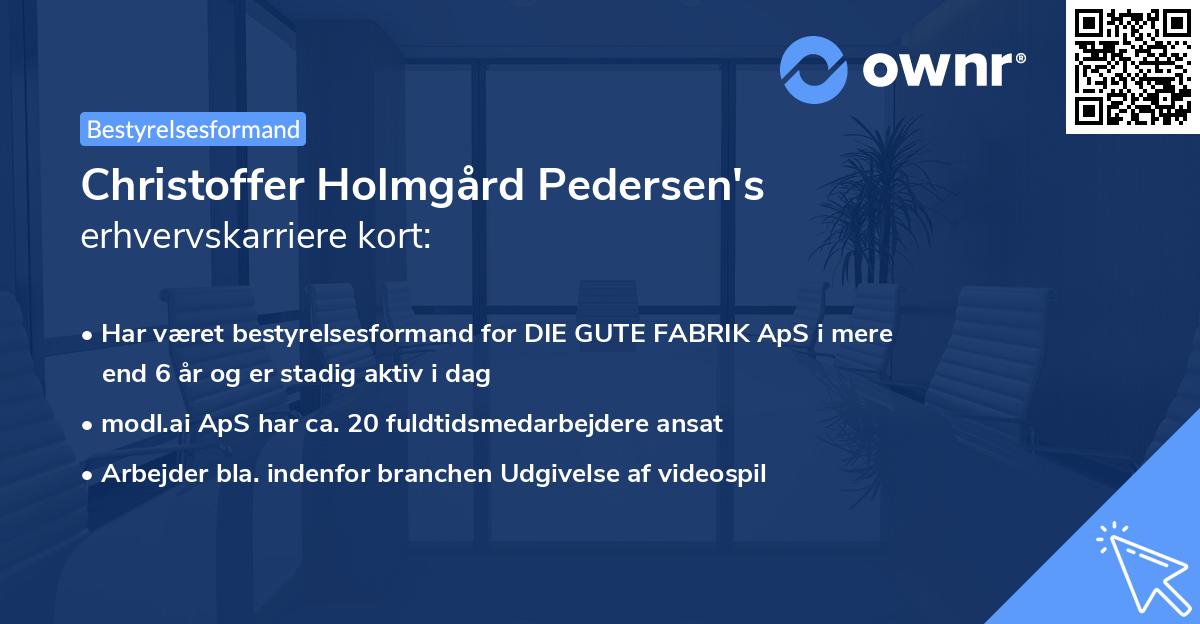 Christoffer Holmgård Pedersen's erhvervskarriere kort