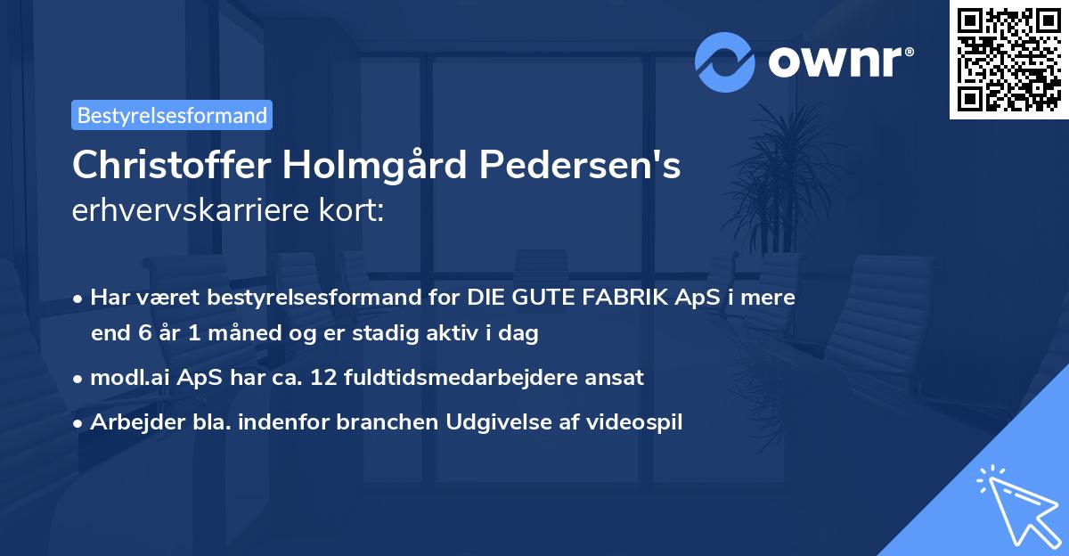 Christoffer Holmgård Pedersen's erhvervskarriere kort