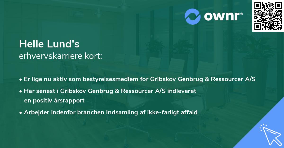 Helle Lund's erhvervskarriere kort