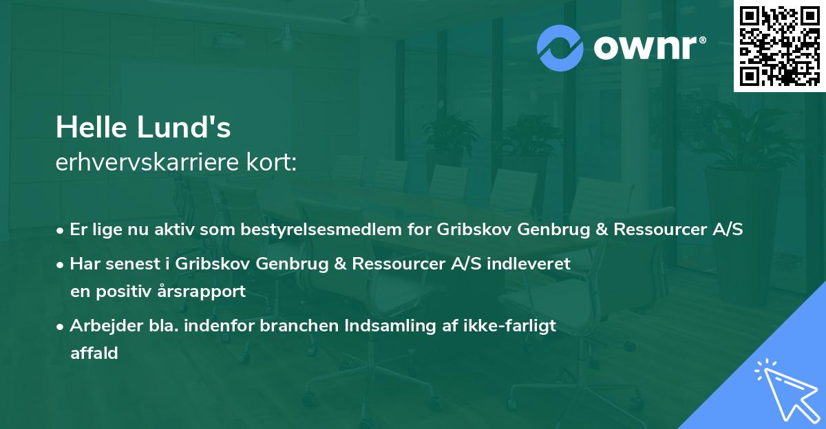 Helle Lund's erhvervskarriere kort