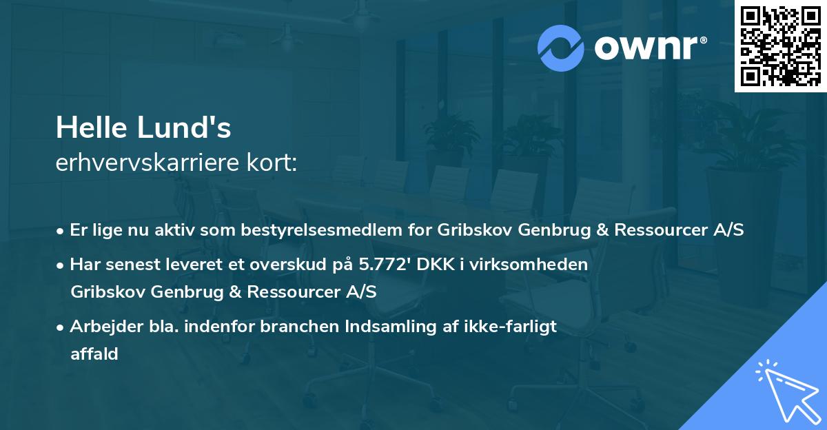 Helle Lund's erhvervskarriere kort
