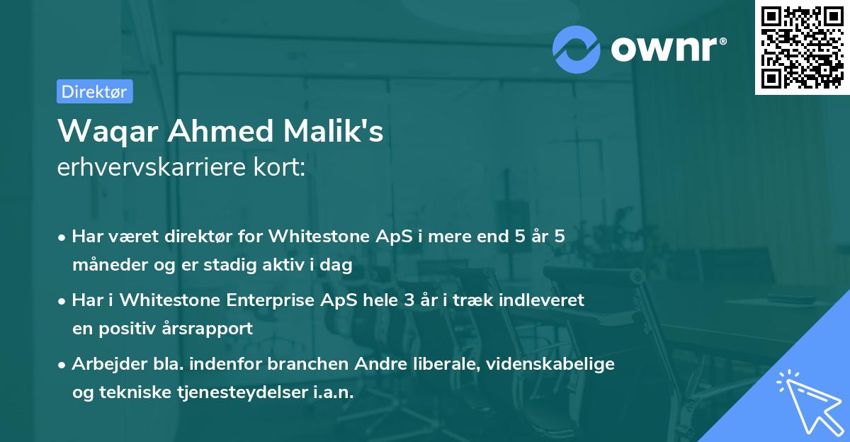 Waqar Ahmed Malik's erhvervskarriere kort