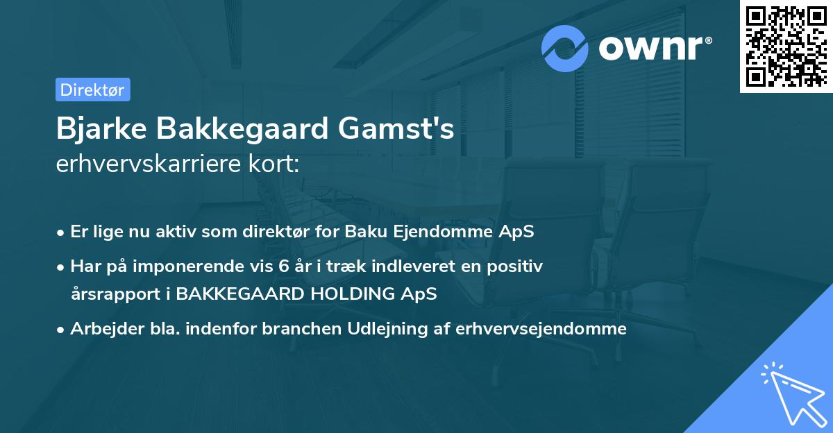 Bjarke Bakkegaard Gamst's erhvervskarriere kort