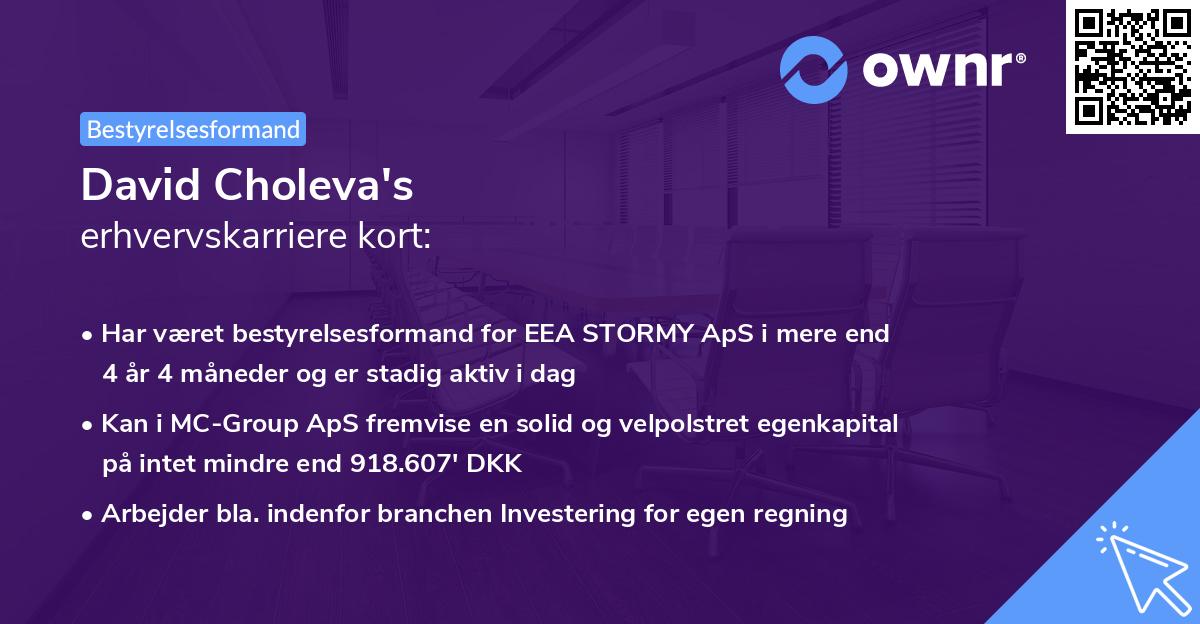 David Choleva's erhvervskarriere kort