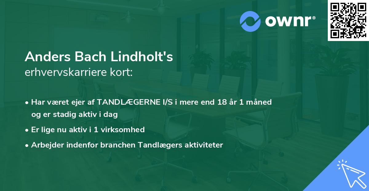 Anders Bach Lindholt's erhvervskarriere kort