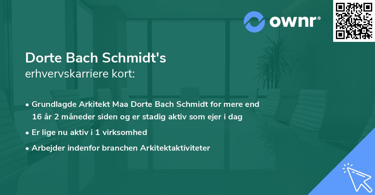 Dorte Bach Schmidt's erhvervskarriere kort