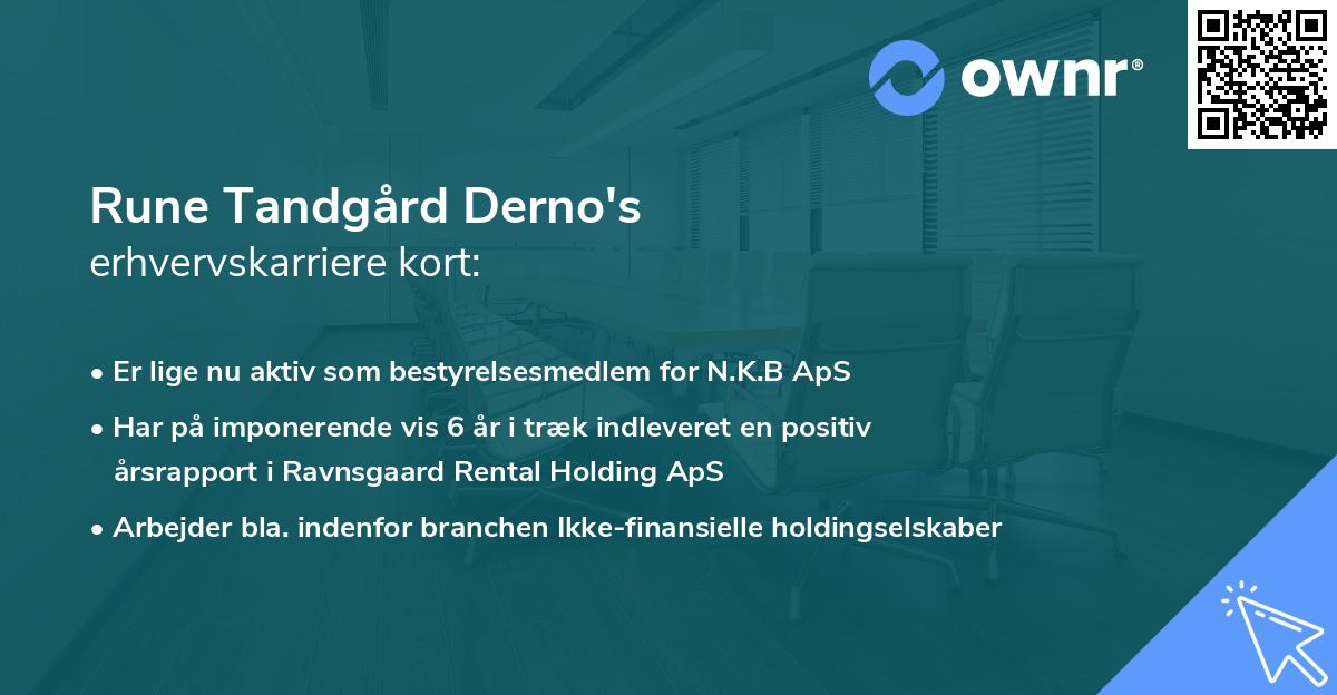 Rune Tandgård Derno's erhvervskarriere kort