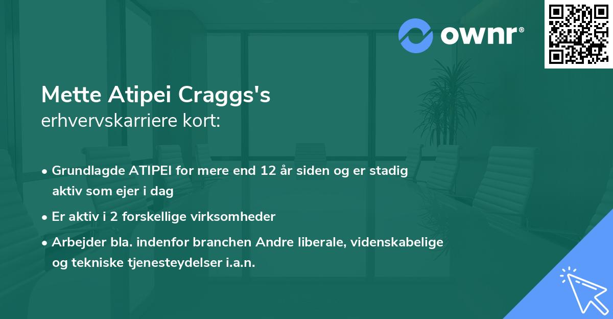 Mette Atipei Craggs's erhvervskarriere kort