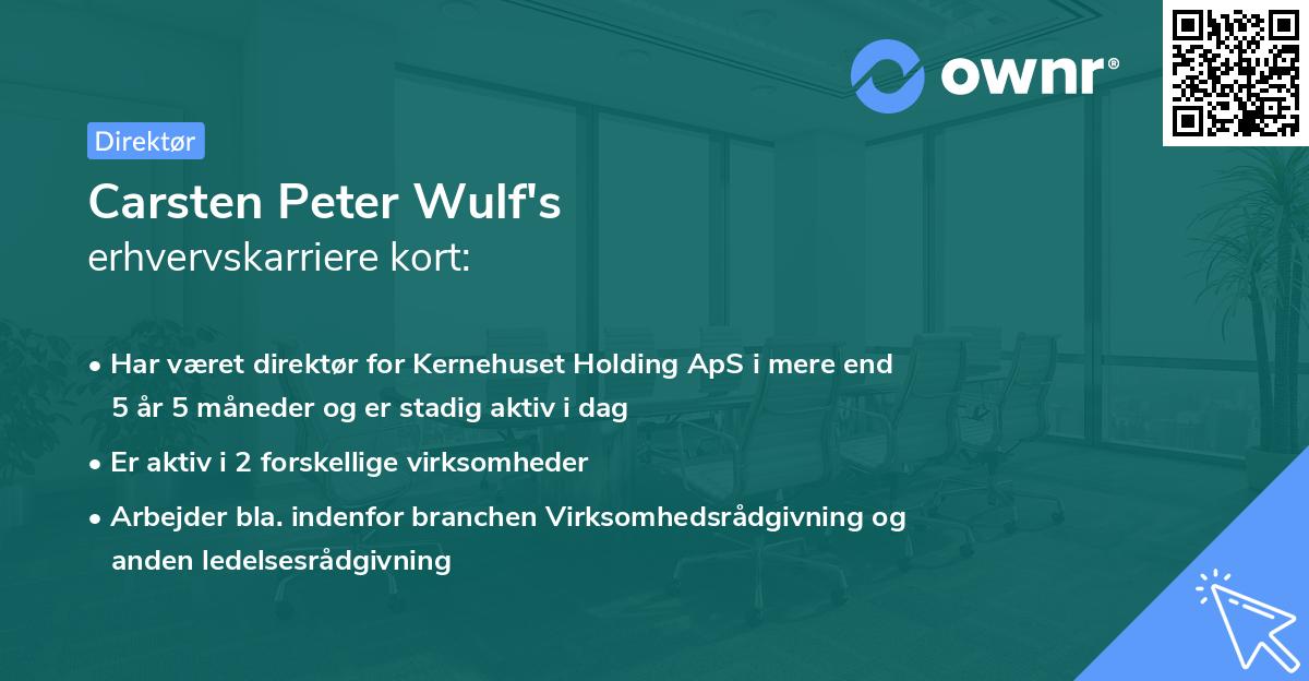 Carsten Peter Wulf's erhvervskarriere kort