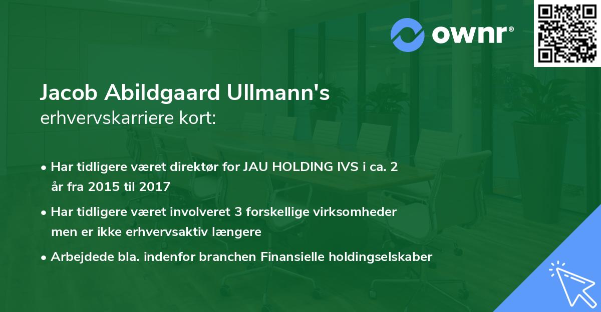 Jacob Abildgaard Ullmann's erhvervskarriere kort