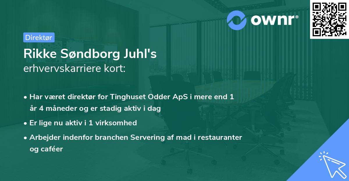 Rikke Søndborg Juhl's erhvervskarriere kort