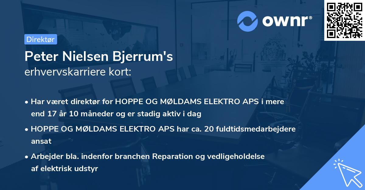 Peter Nielsen Bjerrum's erhvervskarriere kort