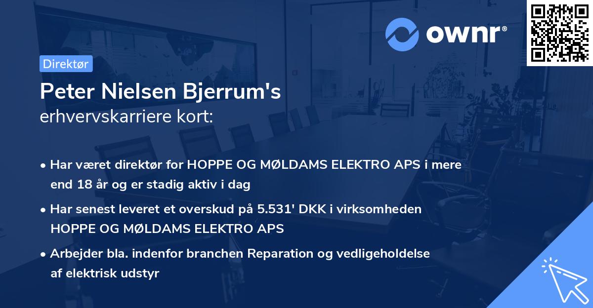 Peter Nielsen Bjerrum's erhvervskarriere kort