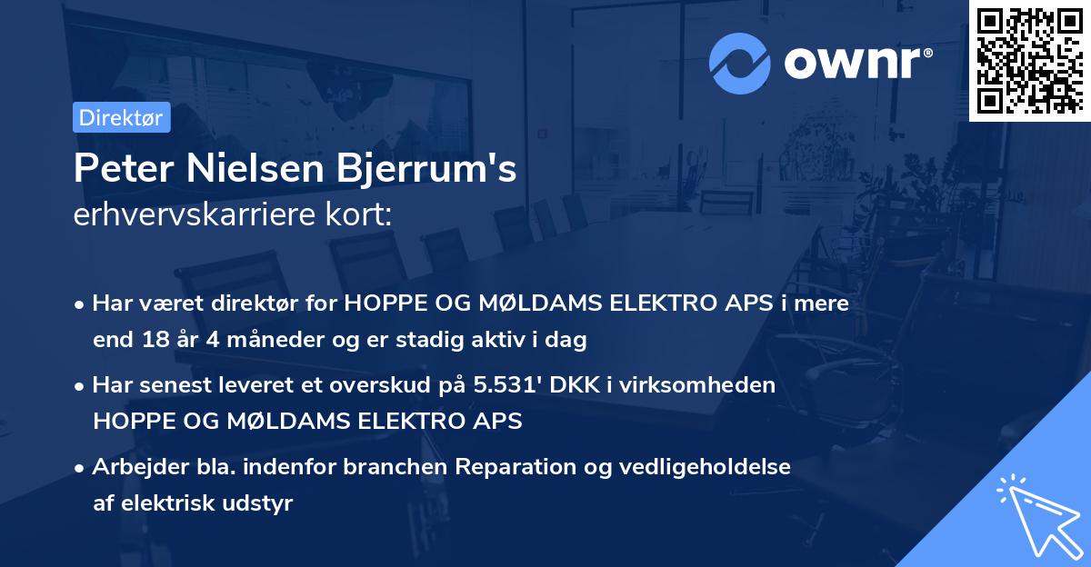 Peter Nielsen Bjerrum's erhvervskarriere kort
