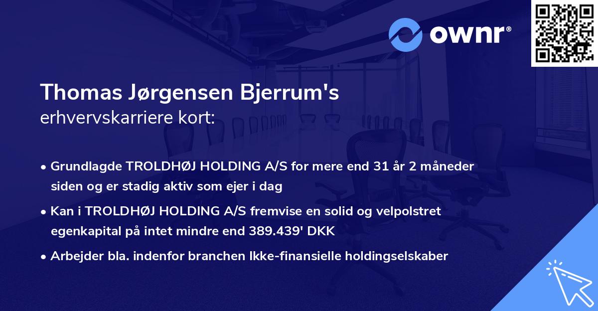 Thomas Jørgensen Bjerrum's erhvervskarriere kort