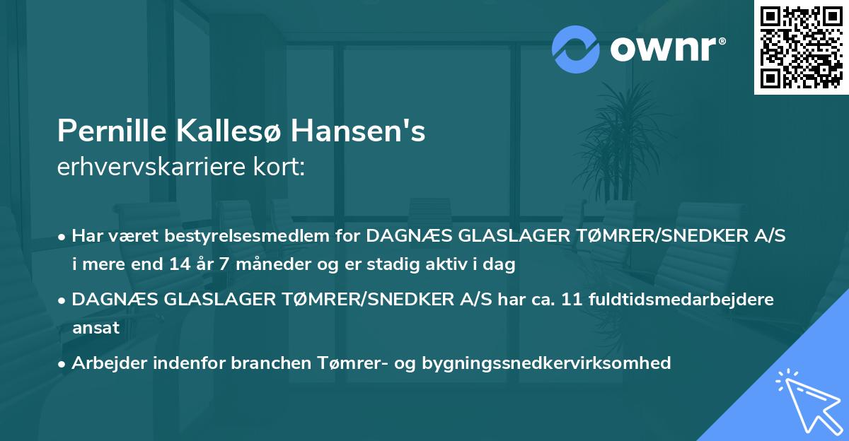 Pernille Kallesø Hansen's erhvervskarriere kort