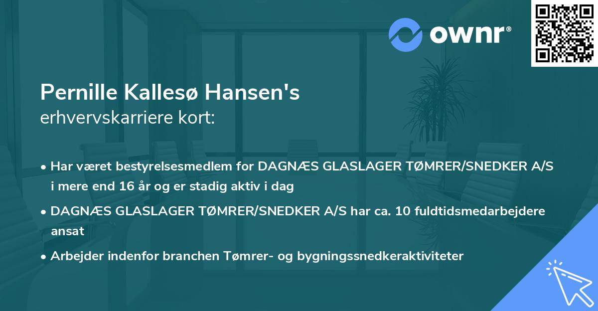 Pernille Kallesø Hansen's erhvervskarriere kort