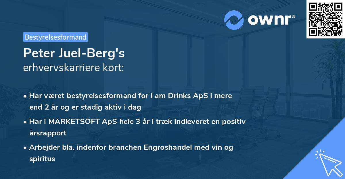 Peter Juel-Berg's erhvervskarriere kort