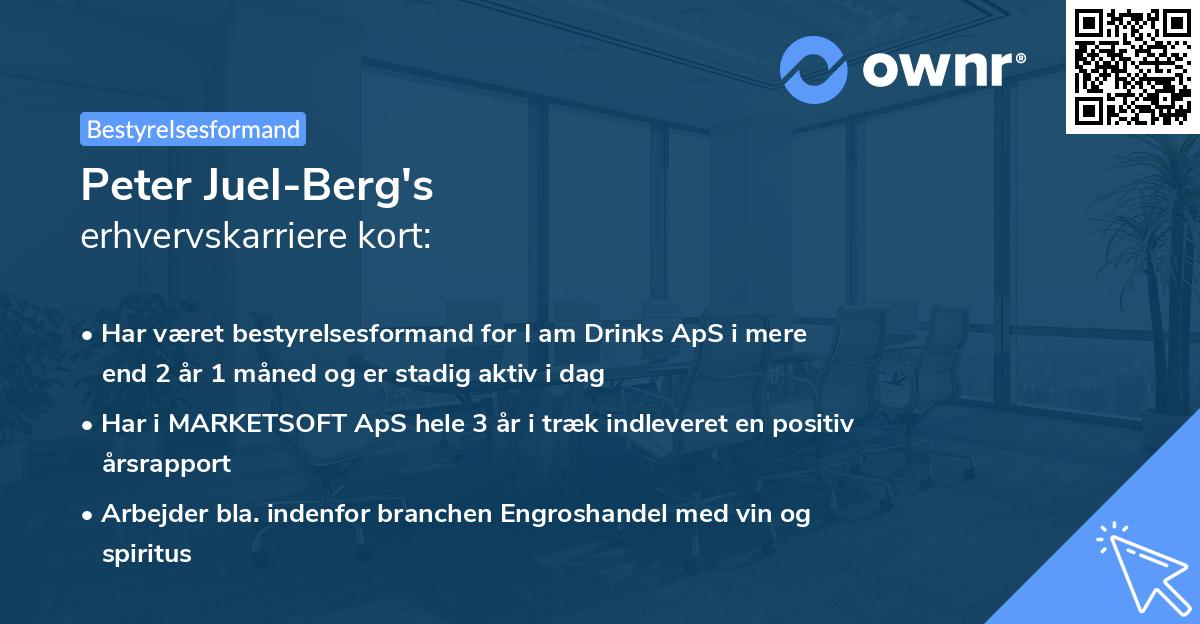 Peter Juel-Berg's erhvervskarriere kort