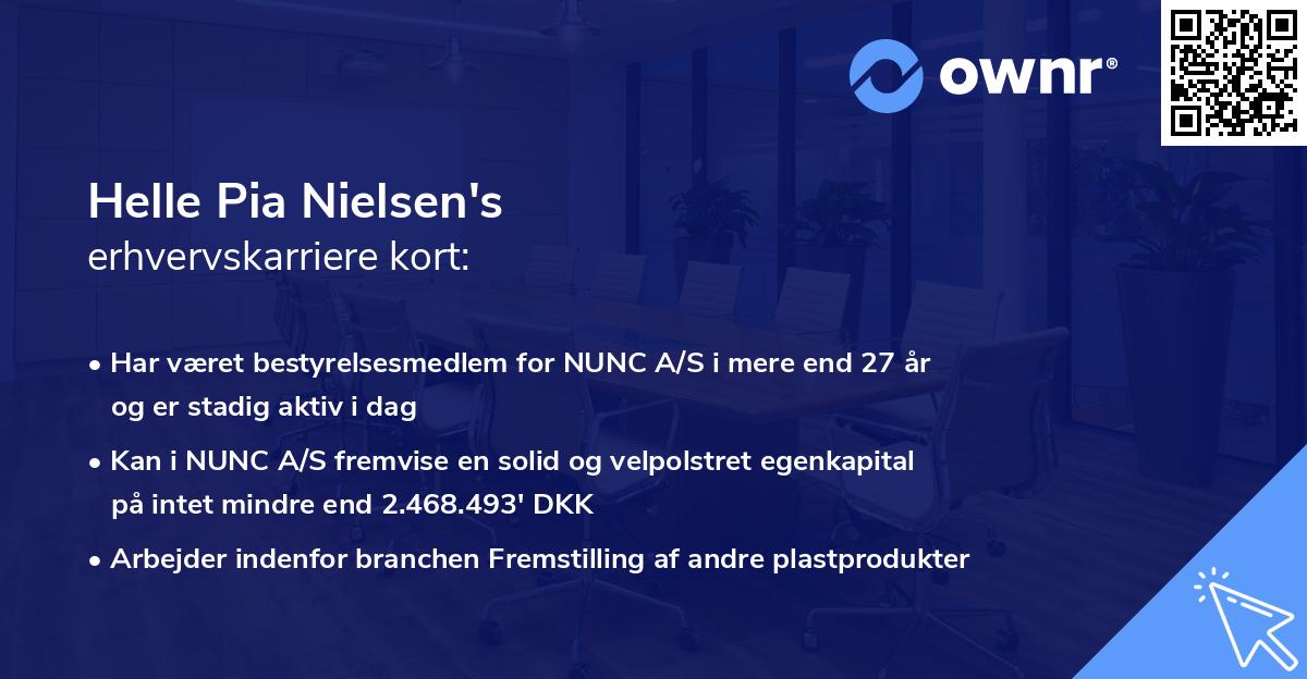 Helle Pia Nielsen's erhvervskarriere kort
