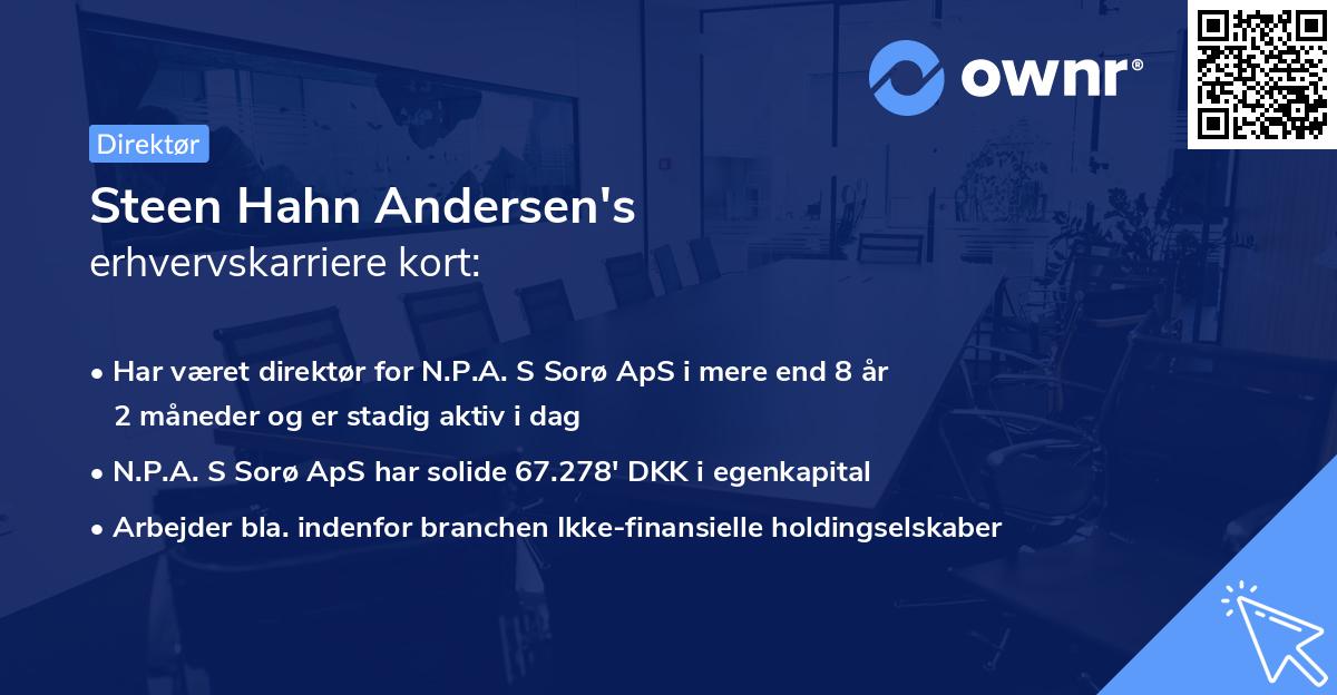 Steen Hahn Andersen's erhvervskarriere kort